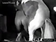 Classic beastiality episode featuring a guy getting anal screwed by a horse